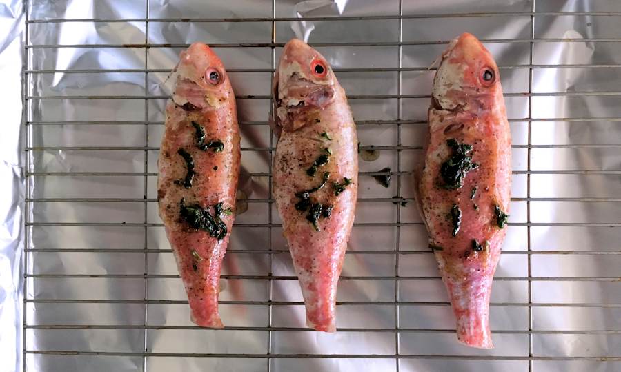 Grilled Red Mullet Recipe Cuisine Fiend